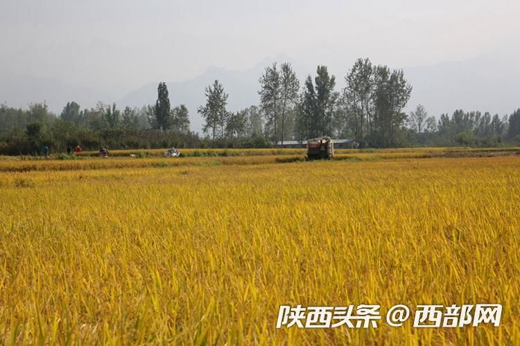 正在上传... 9ea6e689d3b317c63e6a0ff9b3ca887d.jpeg