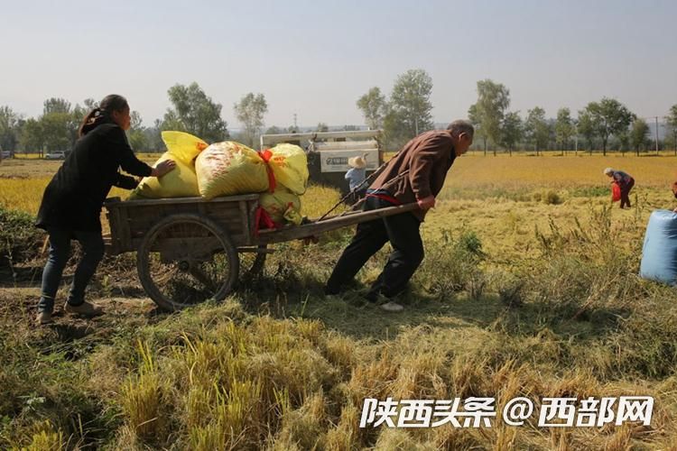 正在上传... 3c08849106e3292ae408287c0dff3654.jpeg