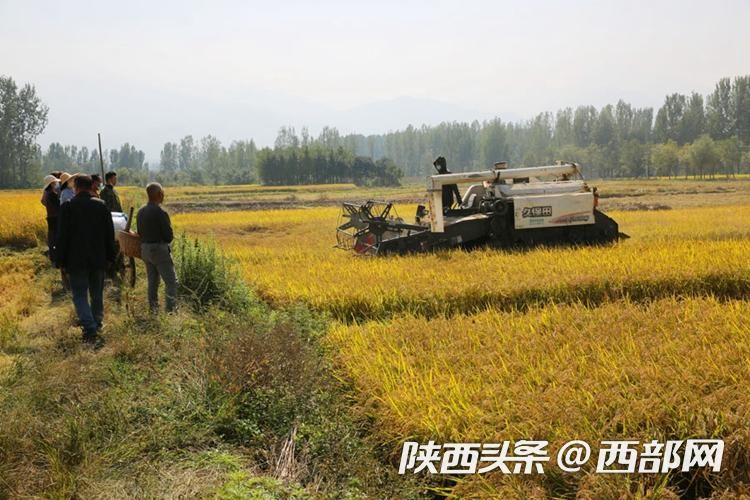 正在上传... 1f633049729f90c19cb40b0f39ca597f.jpeg