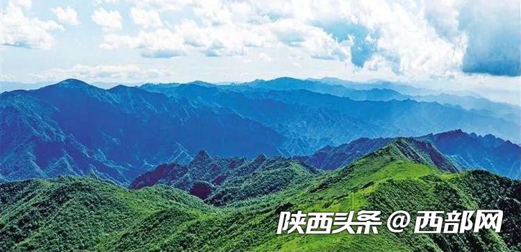 非凡十年丨青山绿水绘就美丽画卷  陕西生态环境质量显著改善