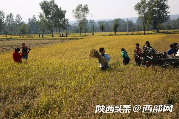 正在上传... 8bdec9bfa6c32d7b77648d23a91c12e7.jpeg