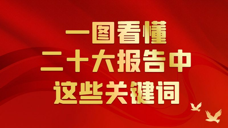 一图看懂二十大报告中这些关键词
