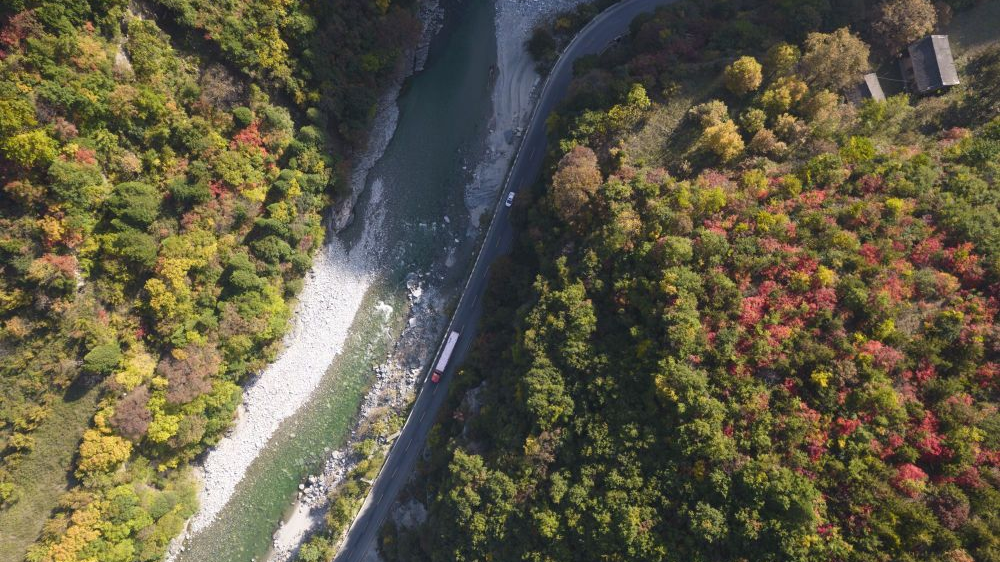 秦岭：和谐共生的金秋画卷