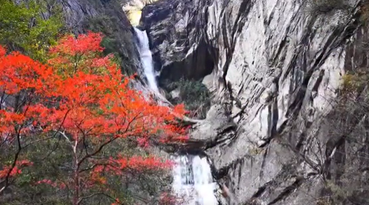 层林尽染景色宜人 太平峪秋景进入最佳观赏期