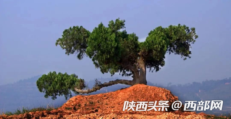 ac65b768c572293fb9497f6181187c3f.png