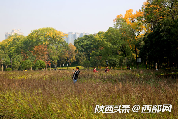 c64302a671db2050cf75befb7be0a48f.png