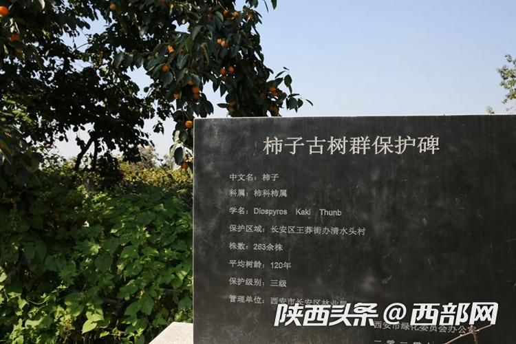 正在上传... 49ae100c85742d5a14531f86050e7203.jpeg