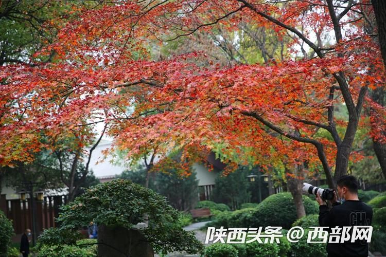3f93ddbb9844fd740ba97ba577cad298.jpeg