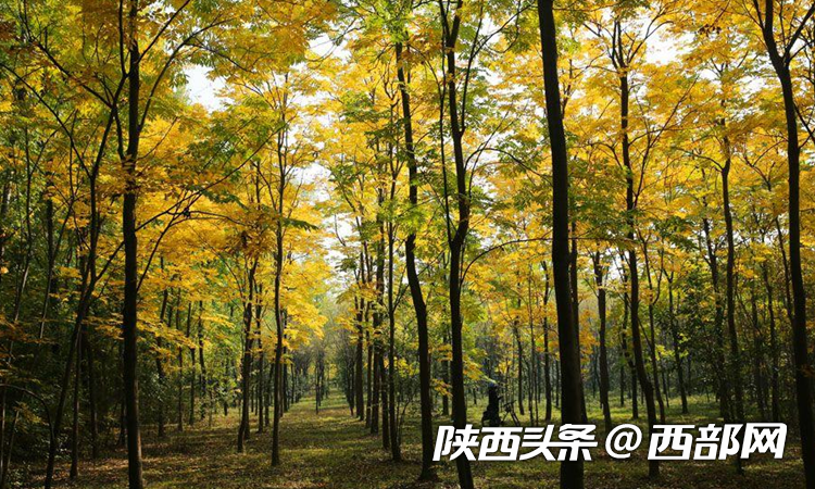 ec8c07628354b1c1c0c5d79f02dfed81.png