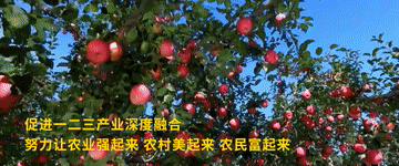 38e630807b4d33028a0019d6f8a2c949.gif
