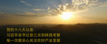 ef11acd7cccd96832c75b028a0c62a3b.gif
