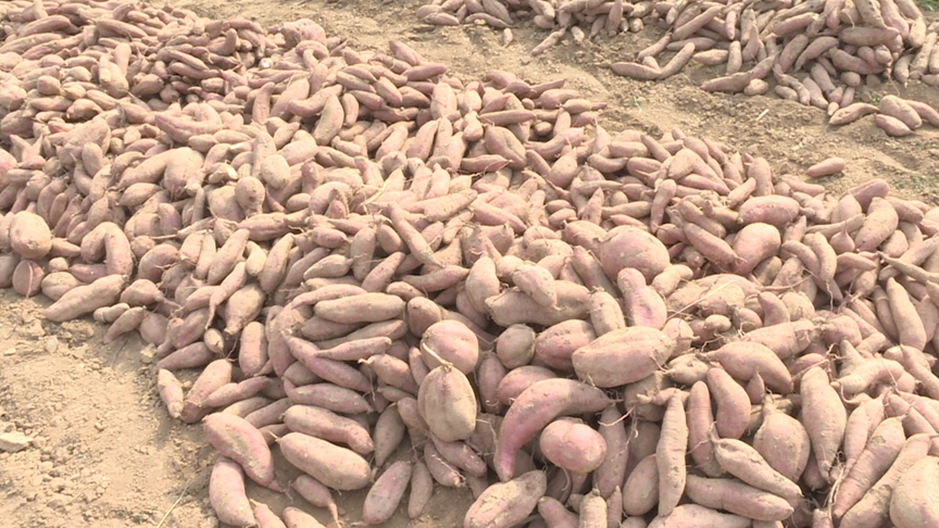 正在上传... bc4c0ff7cfbd67c91d31b69f13ef3dd2.png