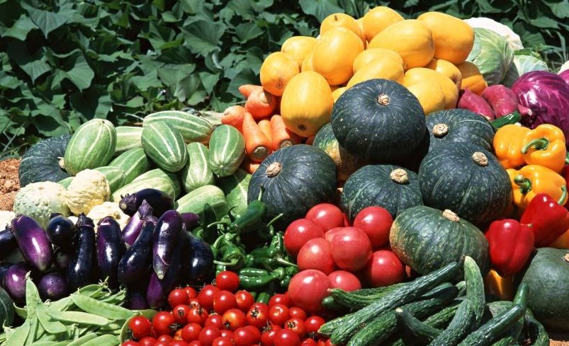 應季蔬菜比反季蔬菜更營養嗎？
