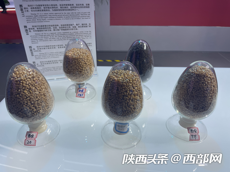 b2d46c86cb12ff136def2809ee5d962d.png