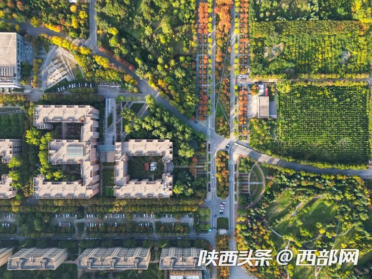 正在上传... 18fc0ffe86edfec6b8b7a2d8590d624b.jpeg