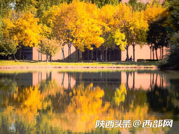 正在上传... 79a75f38ec72c472a5e20ffe1e7c9b8b.jpeg