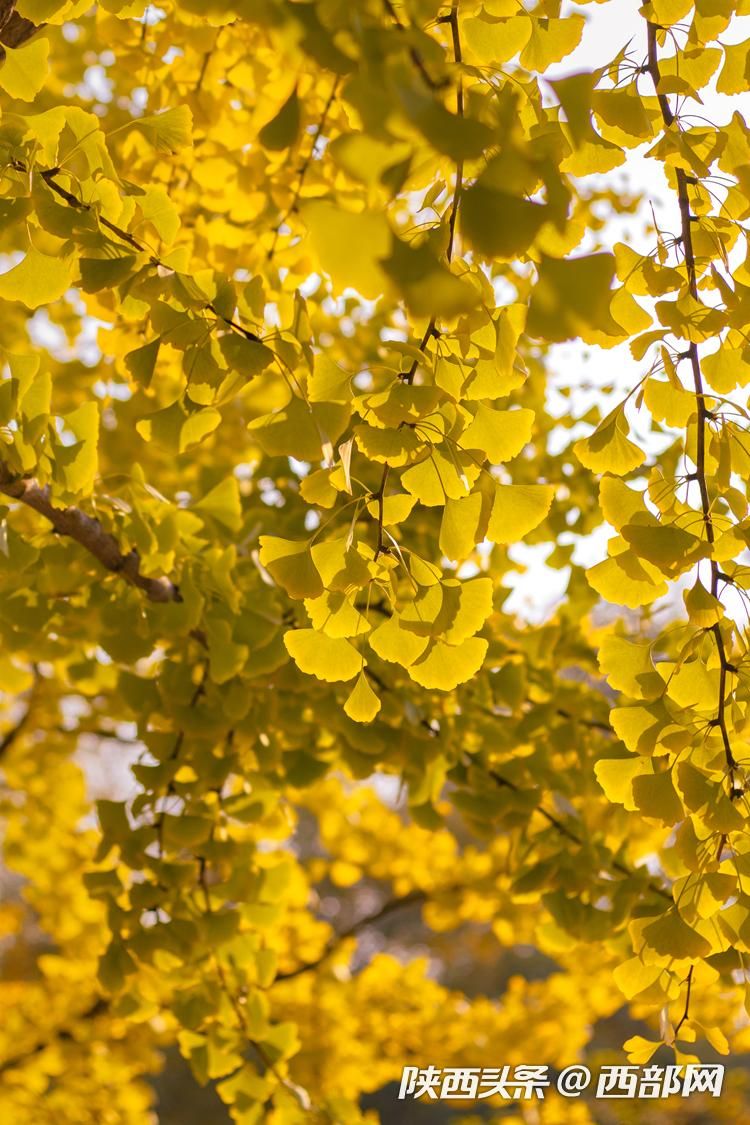 正在上传... dbdb35f5e728b0b5e5e3ff554b78d40d.jpeg