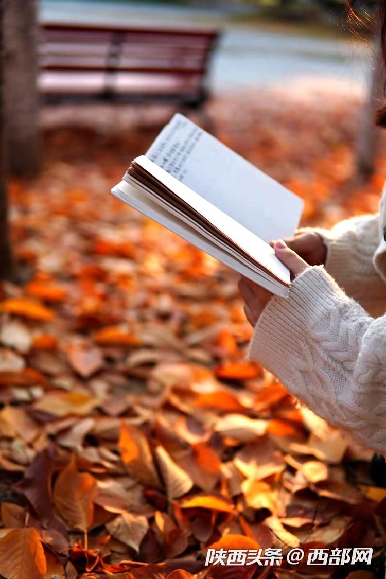 正在上传... fe97ce8fd42341704152b9645161d36e.jpeg