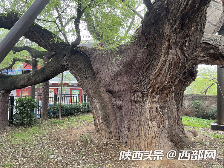 3490ef8e2bcda89c4ed90baaa8385d68.png