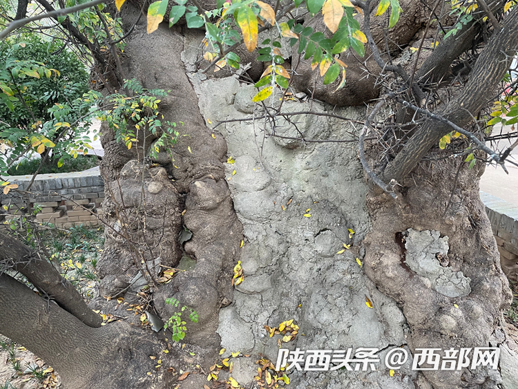 81a1811badff1907d5d766f382f1a5e5.png