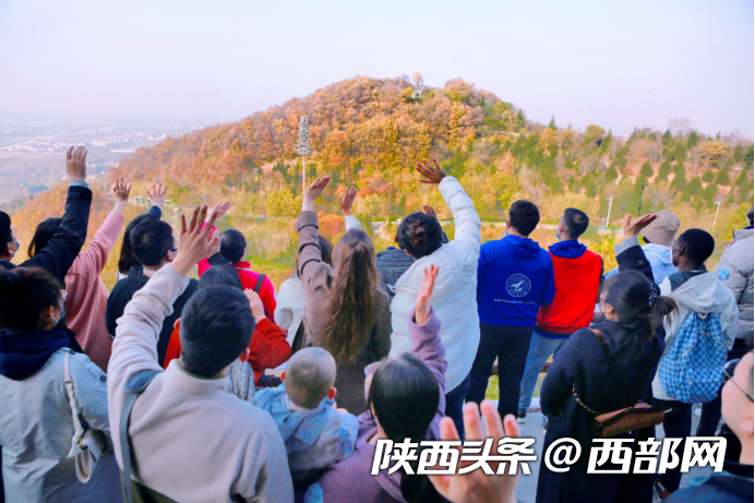 918dd76d93ae1e787fd57ff8000209f3.png