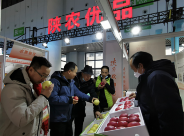 陕西组团参加第十九届中国国际农产品交易会
