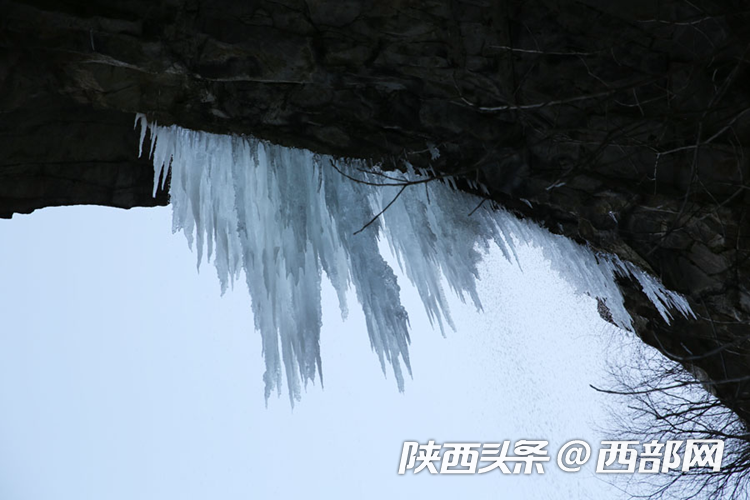 33c7ac9485bac63b94f064b4d806ffea.png