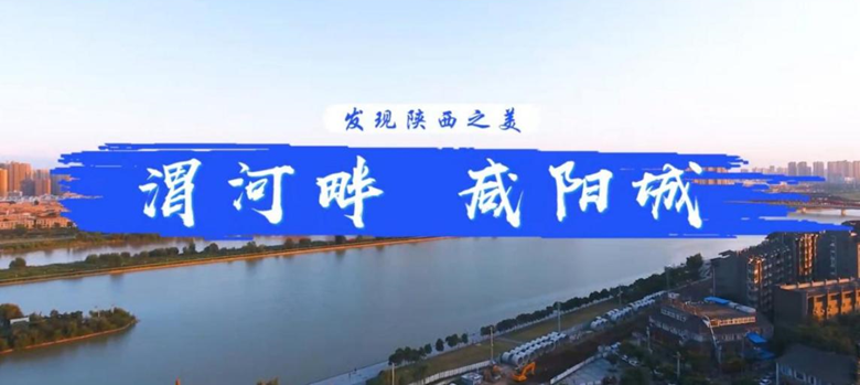 0875cd2c7839862970cf6ac54ebb3e95.png