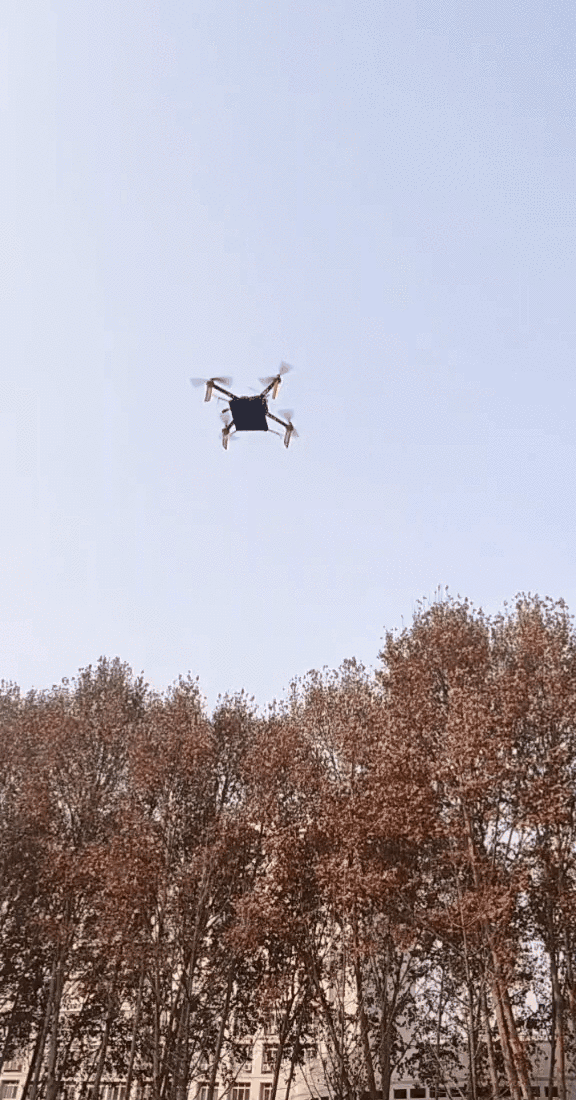 ce73ade3811eb551a7e2a0aa09a99107.gif
