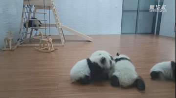 570c0aa1a87f6f2afeee9b38ec5bb9e6.gif