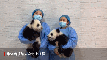 617d351d1817467bacd0a70c61fabc7a.gif