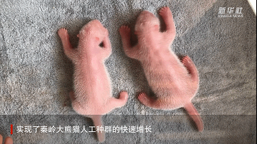 6f6d3d0b14bce916ba27829bd6576323.gif