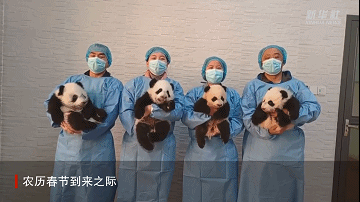 ac7a6c00fbcfd6e649bfb8618502eacb.gif