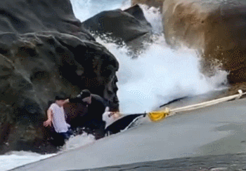 51bde7df0f7e9aef881ebfa5602d0c79.gif
