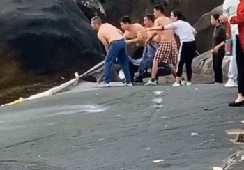 608b9bacc0b0606e5608810bf6c22160.gif