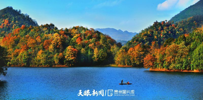1128-百里杜鹃湖-罗冠宇.jpg