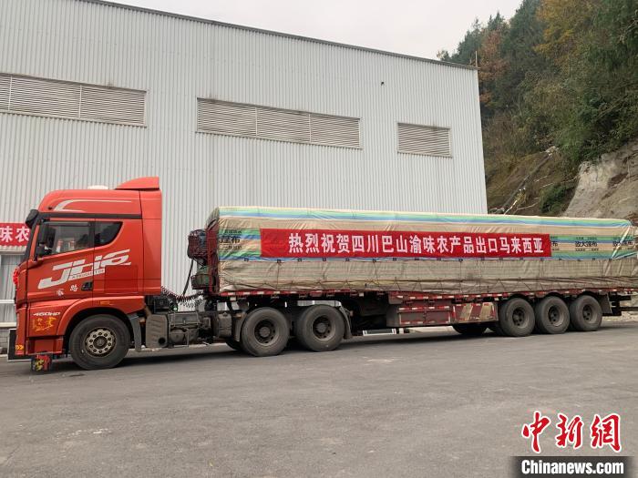 四川巴中火锅底料出口马来西亚。 受访企业 供图