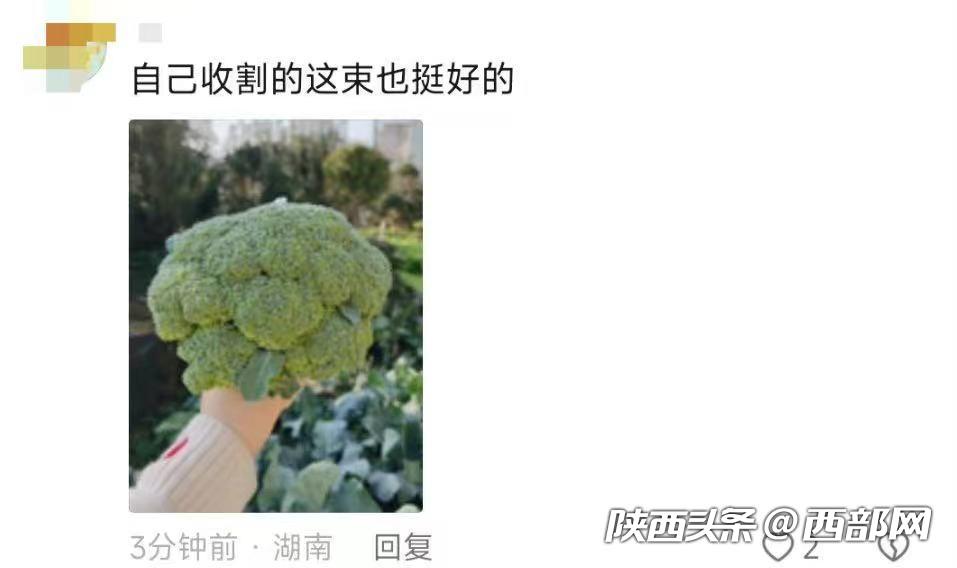 b3a948176e467ca22373edeab4c2ff20.jpg