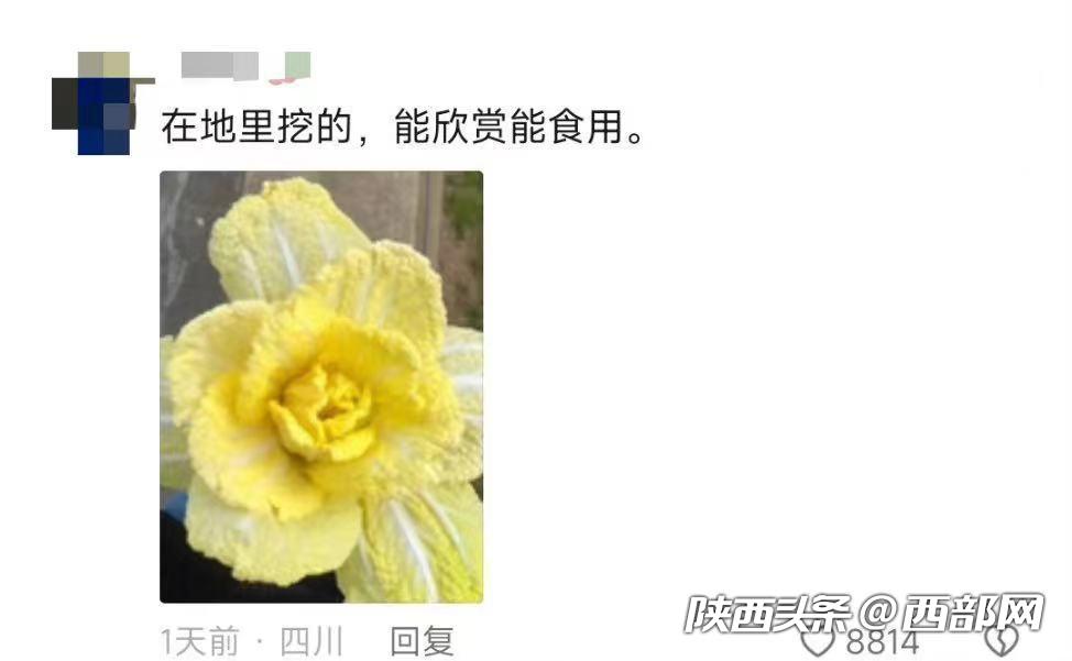 4bbbd75ff3469fc73faef4877ec22363.jpg