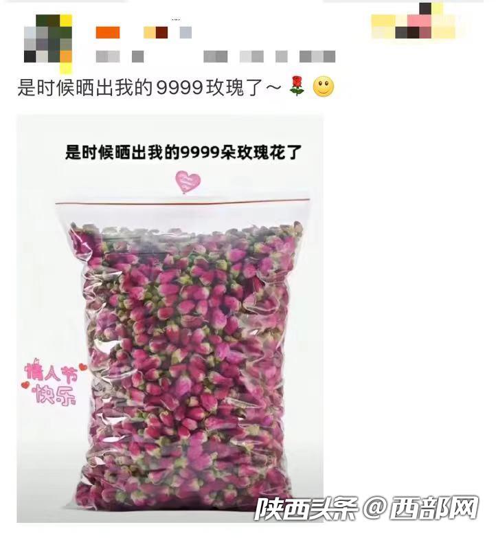 2c1ed6cf545e5f16d3dff6887254b45c.jpg