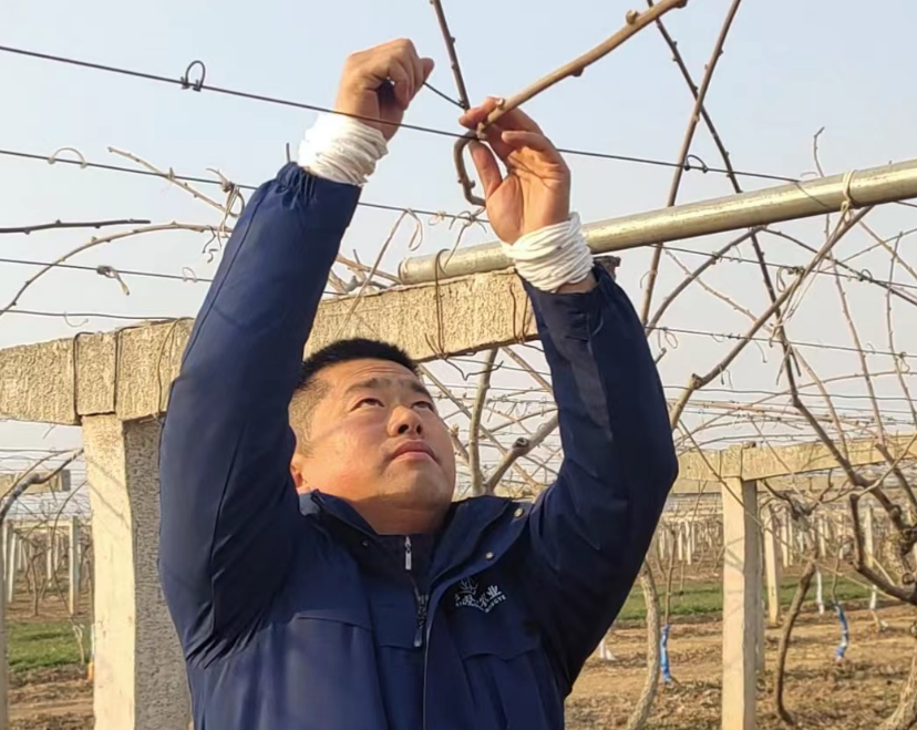 正在上传... 5415d99f94543344da1cd34982754996.png