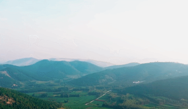 a2e00283b3b1503865f7740878578b2e.gif