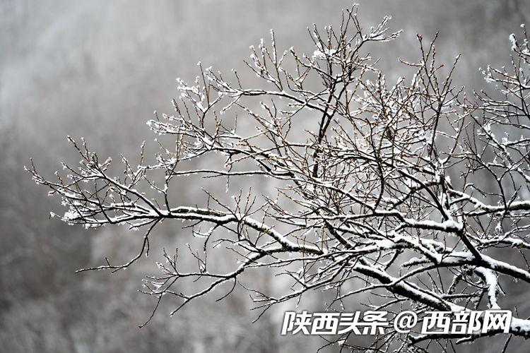 38bbdd97cc3474ad20feb279a2f81982.jpeg