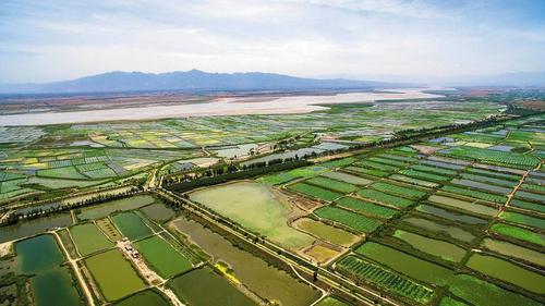 陕西湿地总面积达30.81万公顷