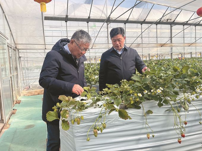 <br/ >全国脱贫攻坚楷模赵亚夫和镇江市丹徒区世业镇副镇长、先锋村第一书记聂永平（右）。 钱飞 摄