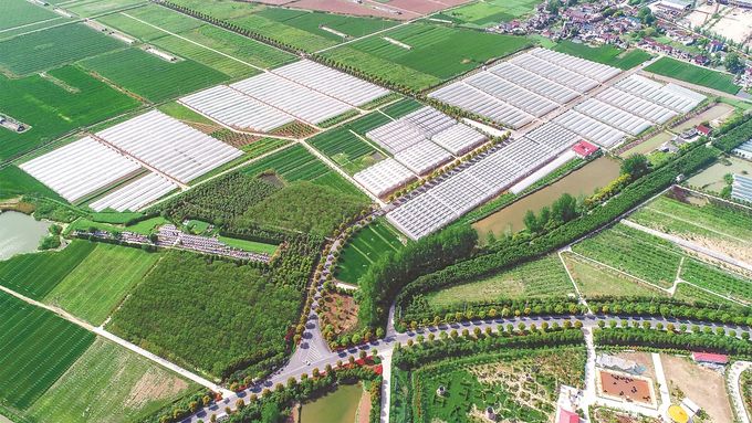 <br/ >鸟瞰镇江市丹徒区世业镇先锋村四季春农业园。 受访者供图