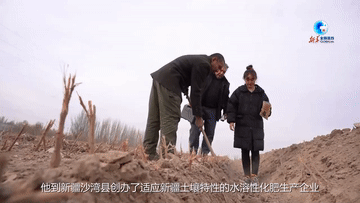 3c84cfa95db91a9d7e25d0ca9126f543.gif