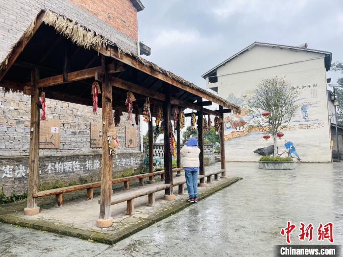 图为璧山区七塘镇将军村莲花穴村落旧貌换新颜。 王婷婷 摄