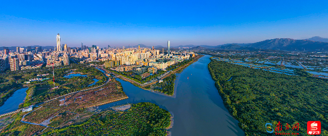 深圳打造“科创森林”，“聪明”城市让生活更美好｜高质量发展看中国
