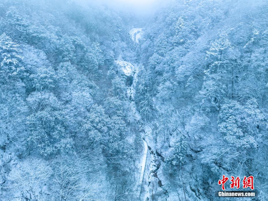 初春雪后的秦岭云海 宛若流动的山水画